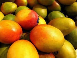 owoce african mango