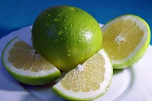 limonka