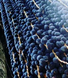 jagody Acai