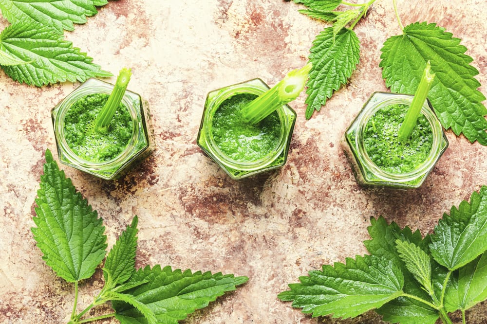 sok z pokrzywy w szklankach